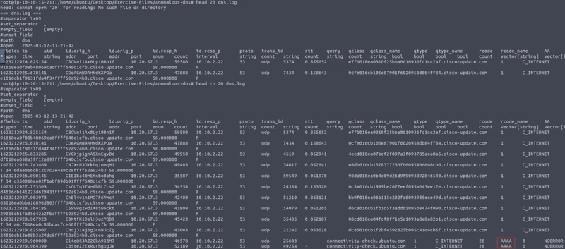 TryHackMe: Zeek Exercises