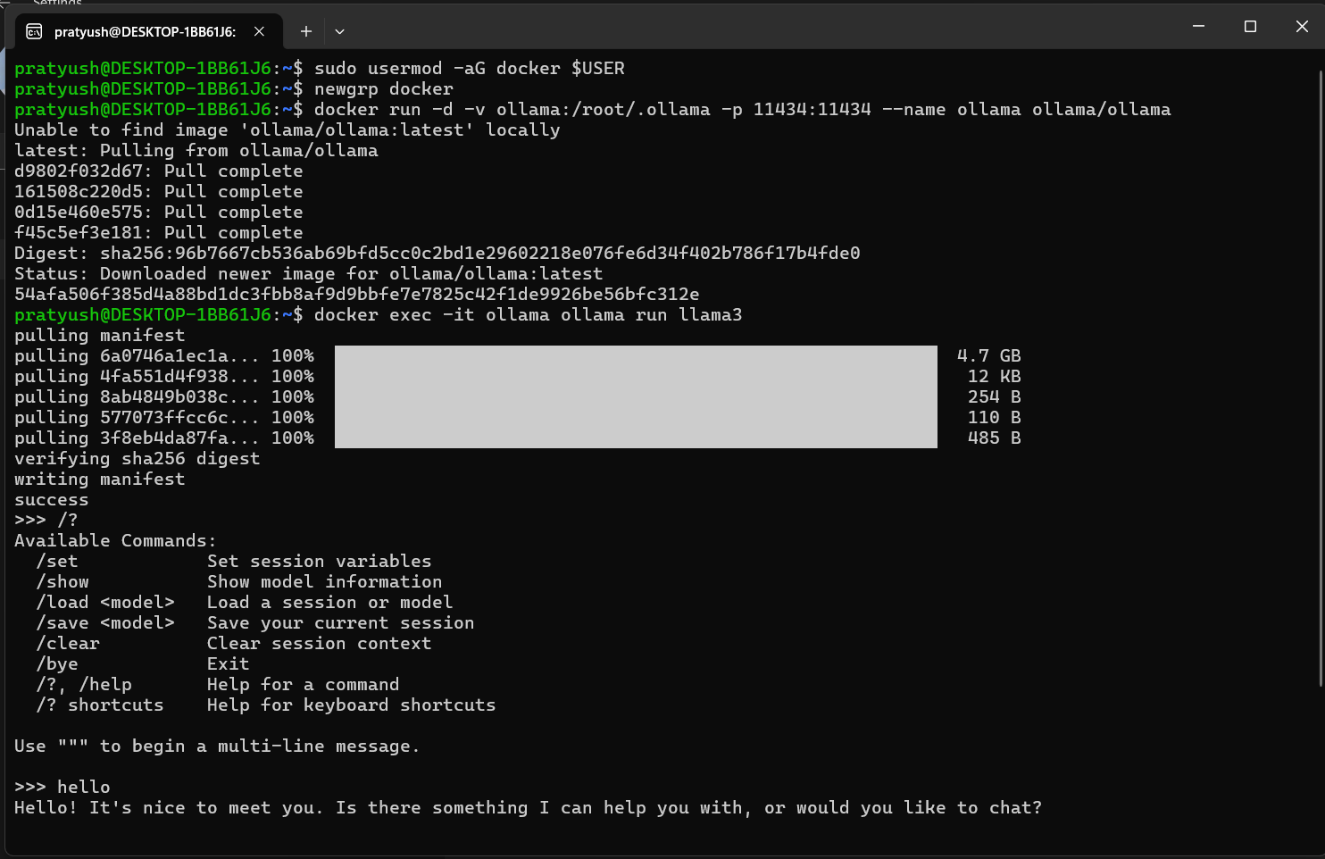 Ollama running in WSL
