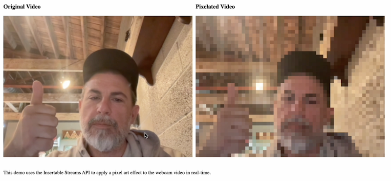 Pixelated Video