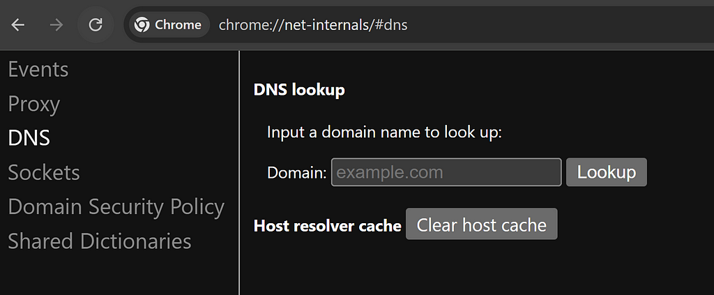 Screenshot of Chrome's net-internals DNS tab with Clear host cache button