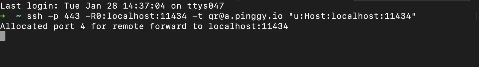 pinggy's command