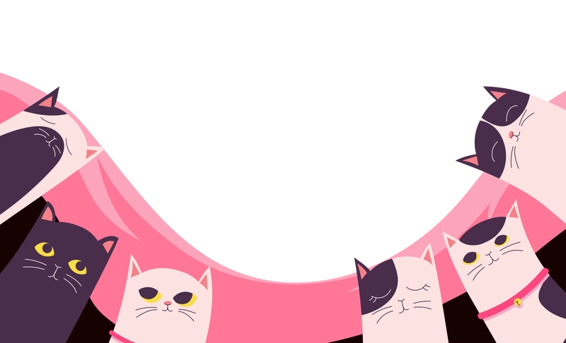 Hello World, We Are CatBytes