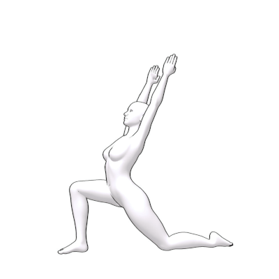 Input Image for the pose