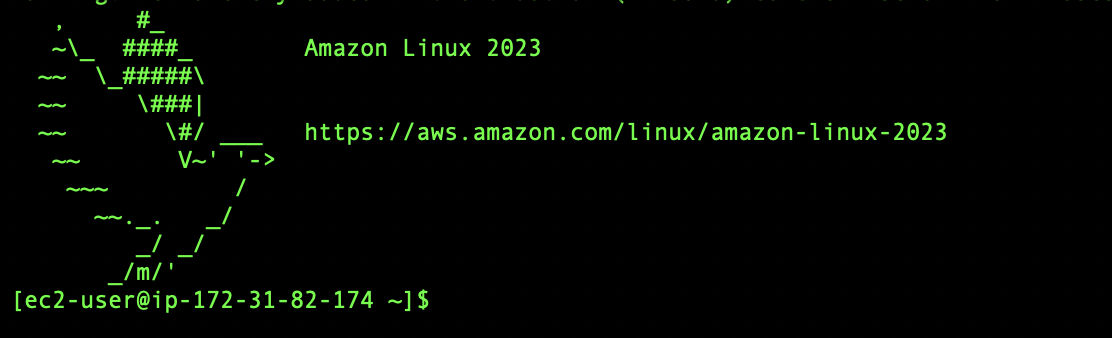 EC2 Connected via SSH