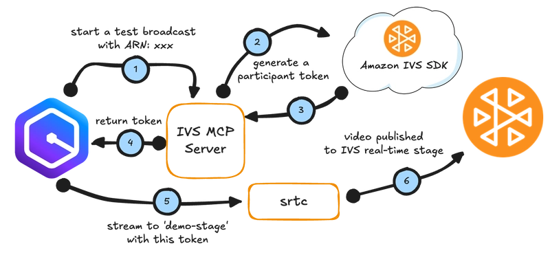 Live Streaming From the Amazon Q Developer CLI