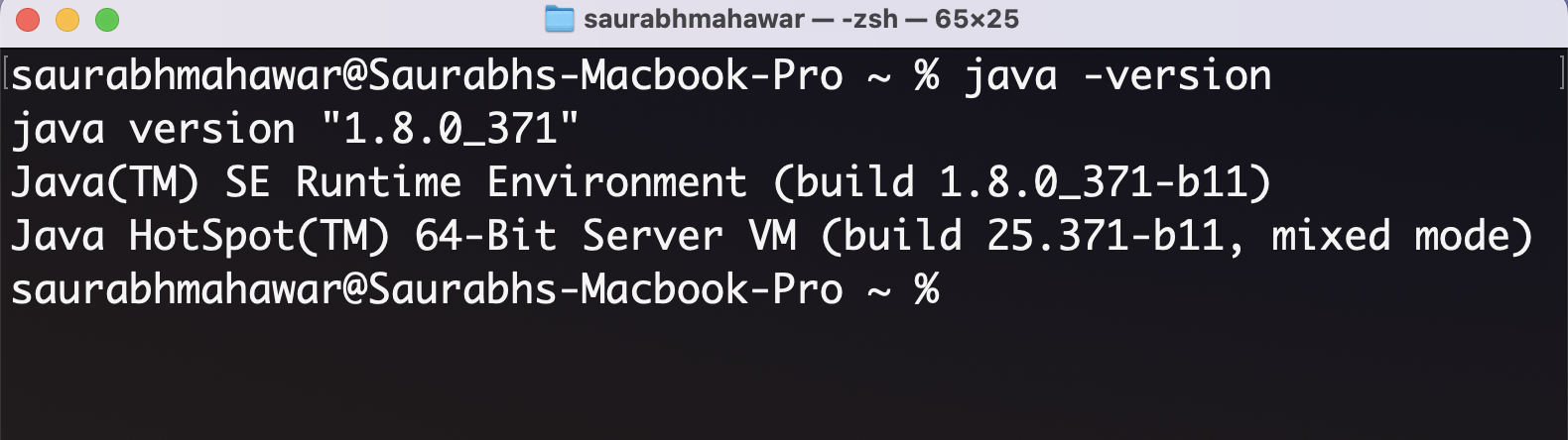 Java Version (1.8.0_371) ✅