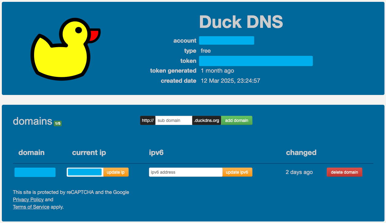 Duck DNS dashboard