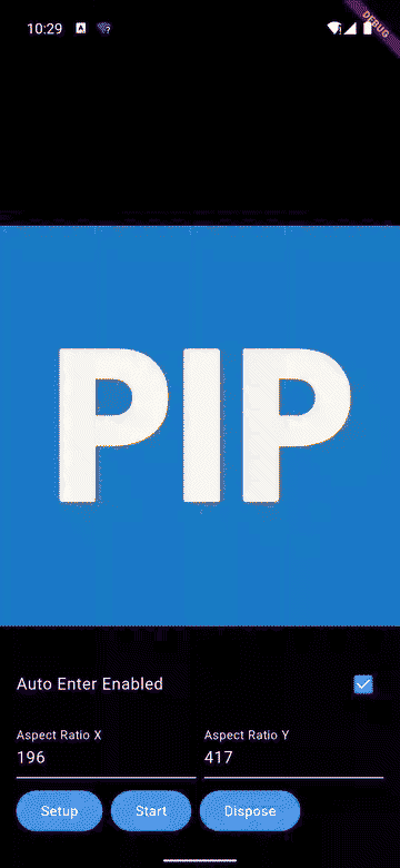 PIP Android Demo