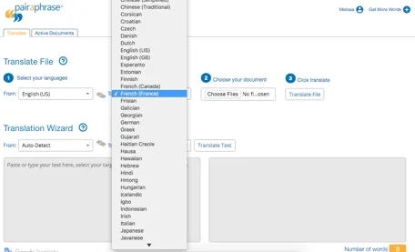 Best Way to Translate a Scanned Document PDF