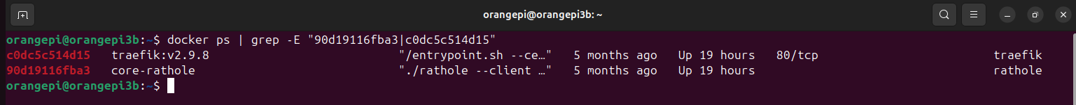 Running containers on the home server