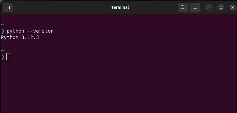 python version