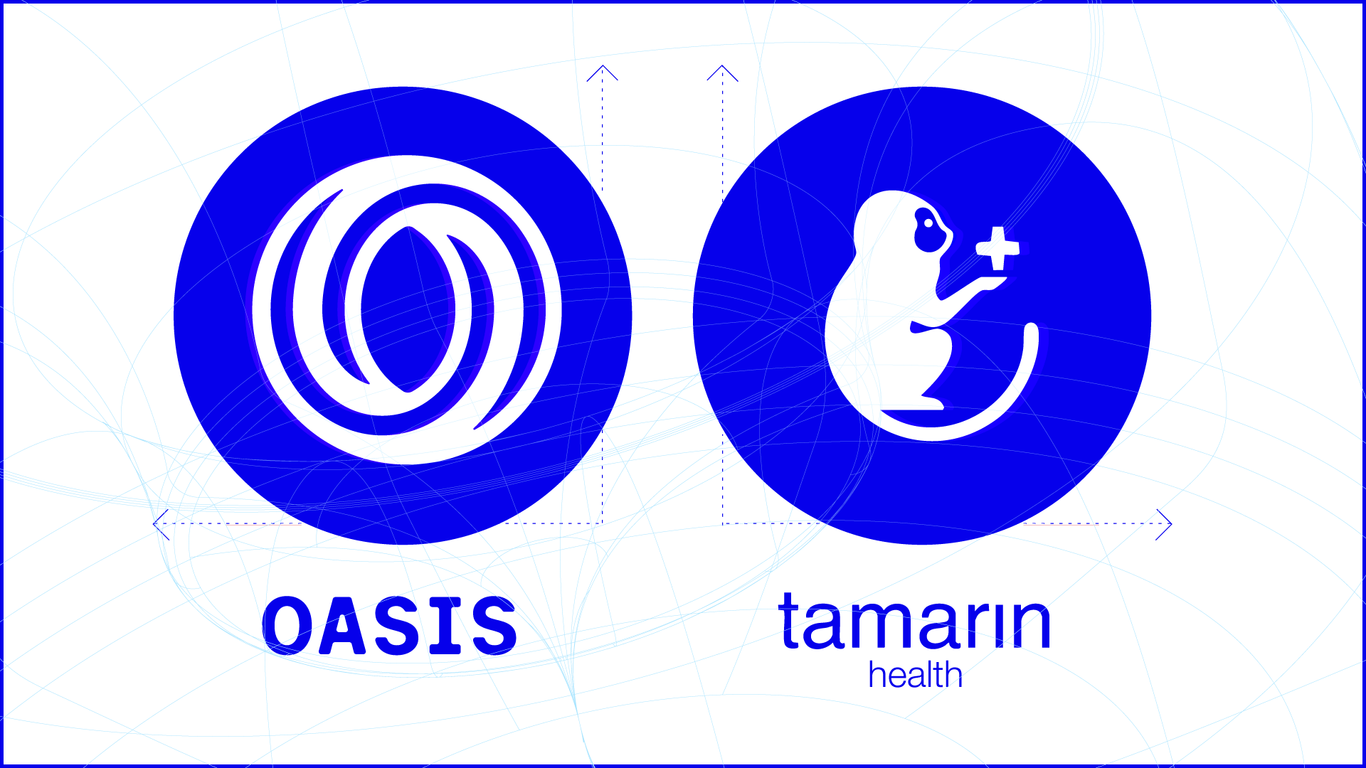Oasis and Tamarin