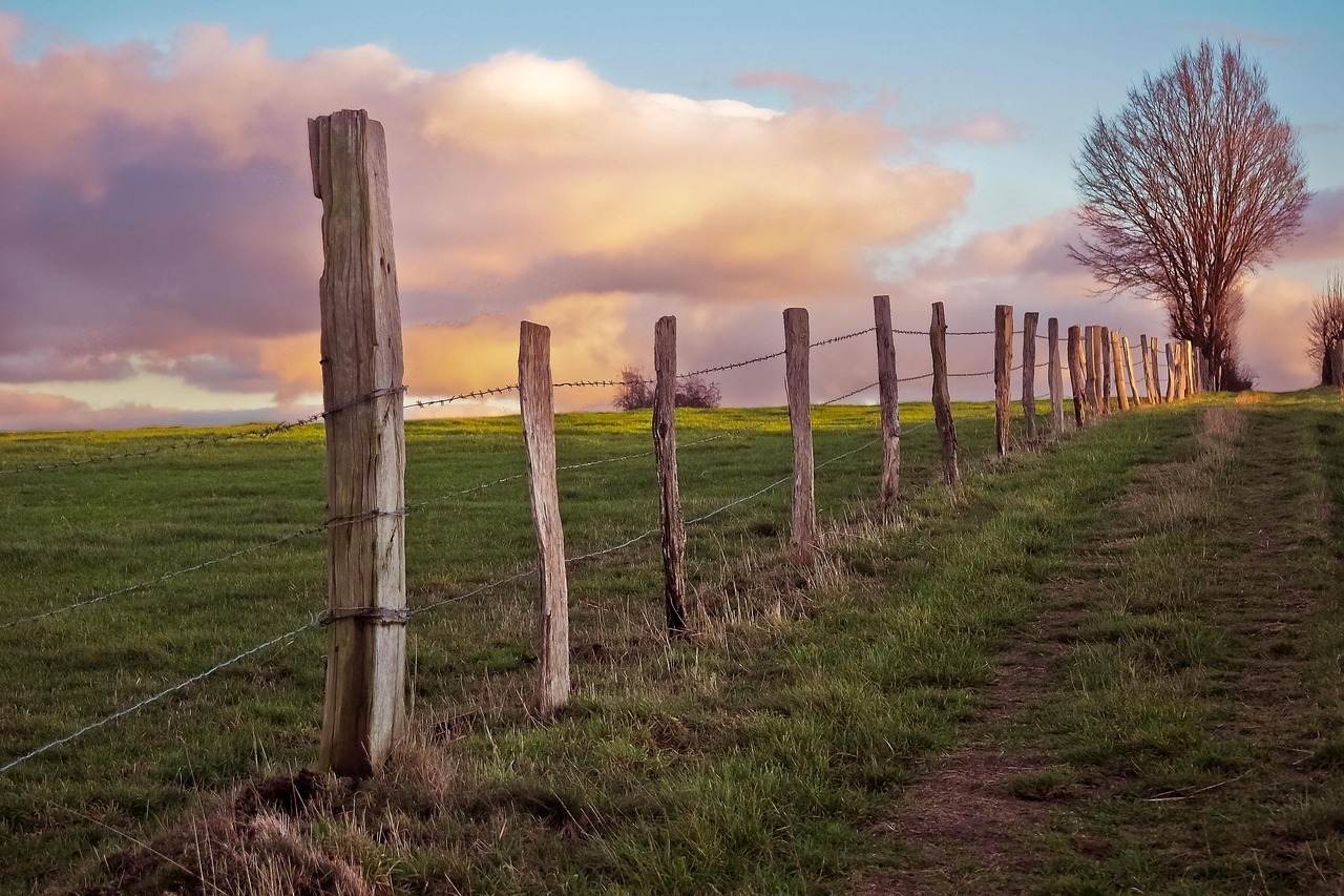 A wooden fence with a sunset in the background