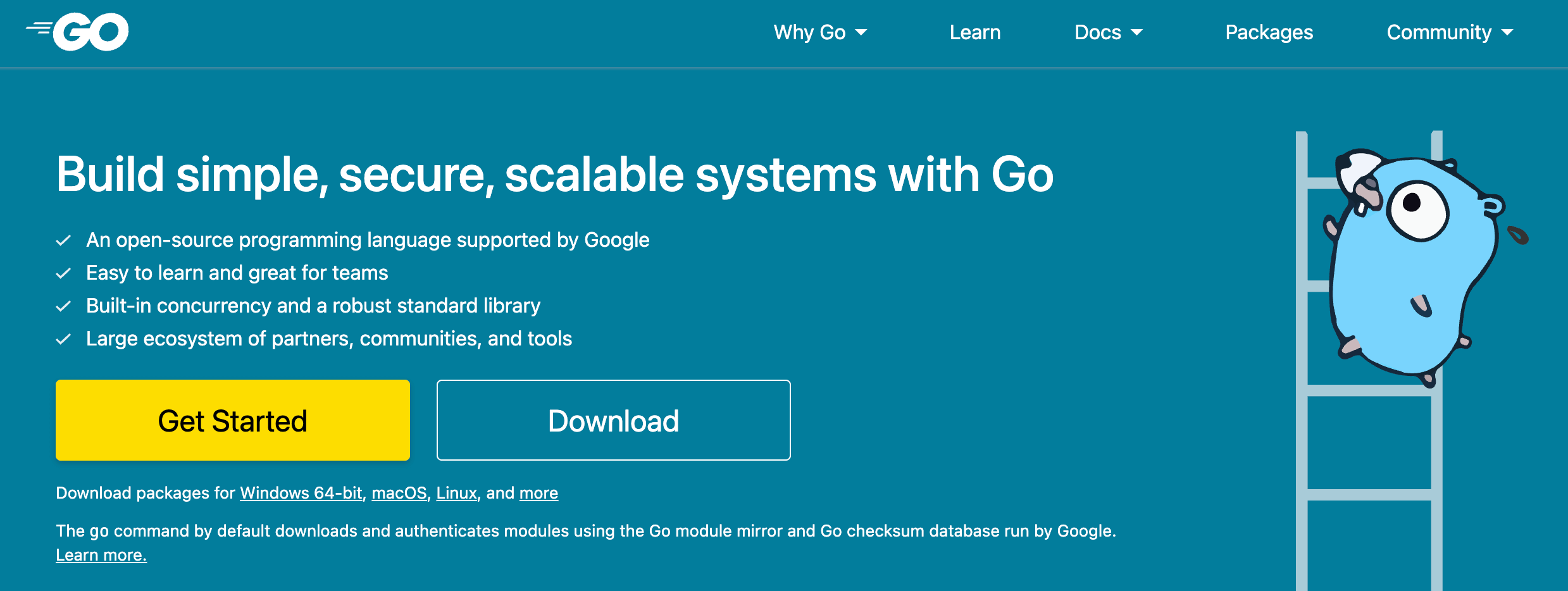 Golang