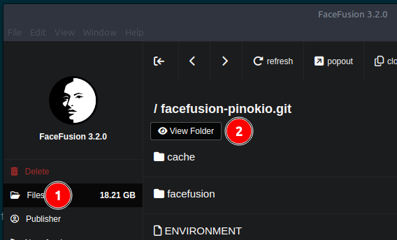 pinokio view file face fusion