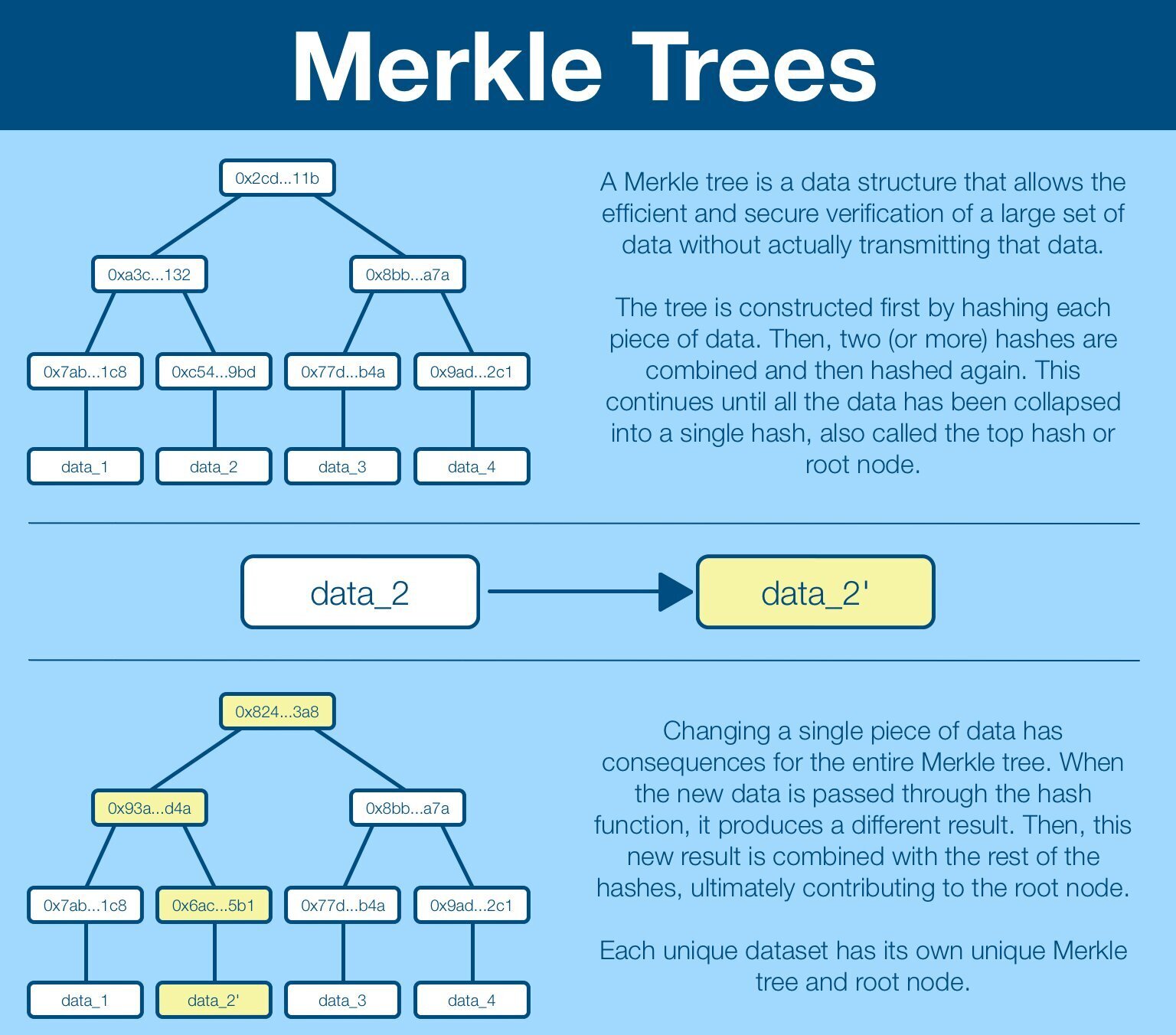 Merkle Tree Visualization