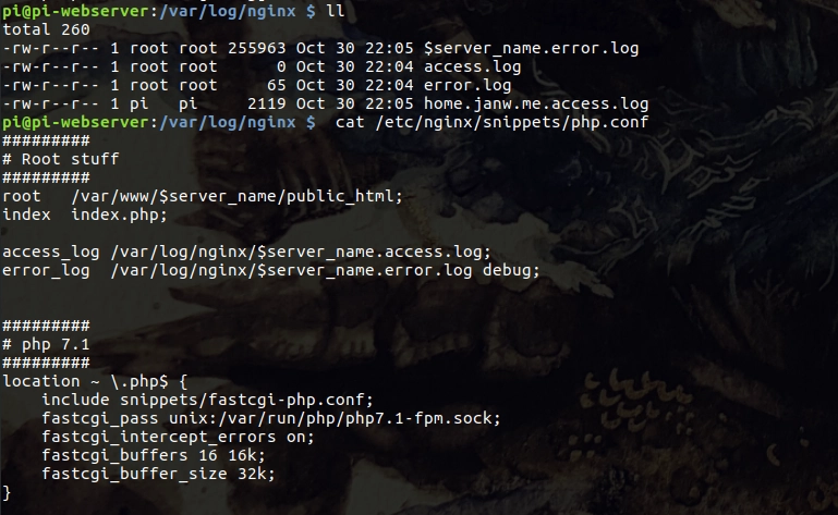 Logs Don’t Lie: How to Turn Messy Files into Clear Wins for Your Team and Business