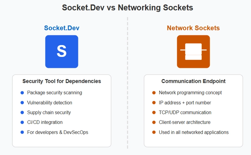 The Surprisingly Hilarious World of Tech Vocabulary : Socket Edition 🔌😵‍💫