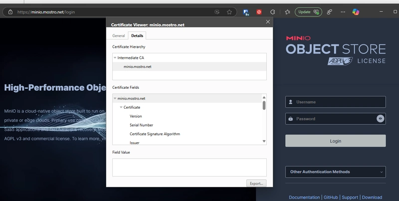 Secure HTTP Traffic with HashiCorp Vault as your PKI + Cert Manager in Kubernetes - Deep Dive: Part 1!