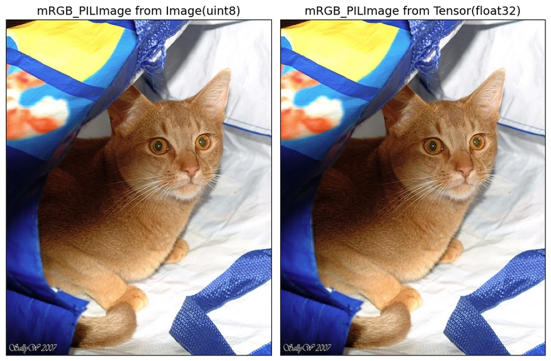 ToPILImage in PyTorch (4)