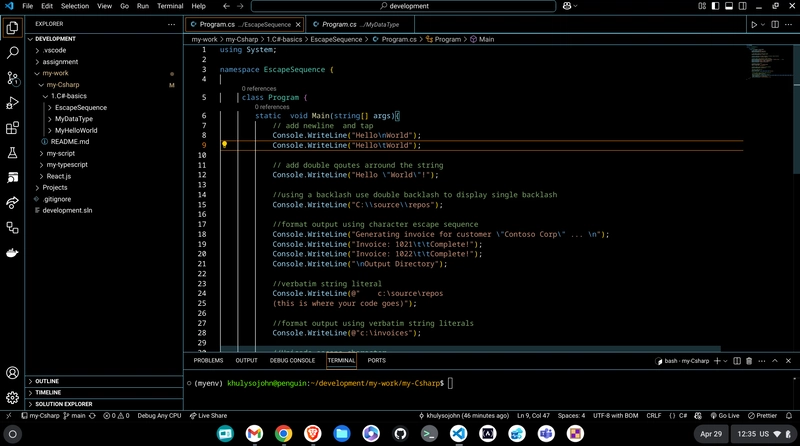👨🏽‍💻 Exploring Escape Sequences in C#