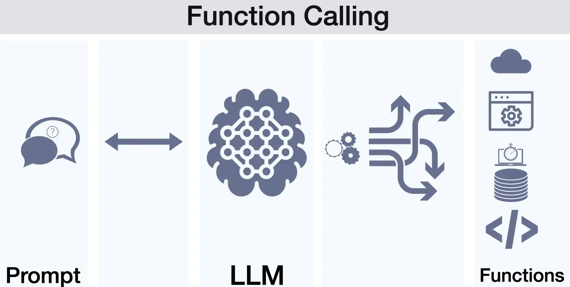 Function Calling