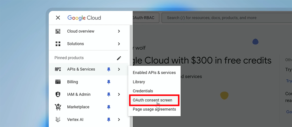 oauth consent screen