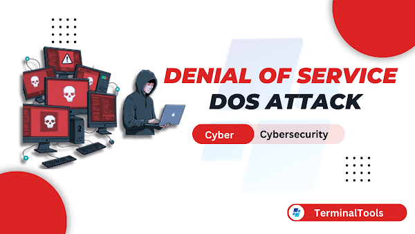 What is a Denial of Service (DoS) Attack? A Comprehensive Guide