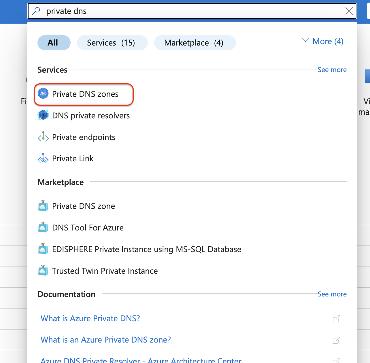 select Private dns zones 
