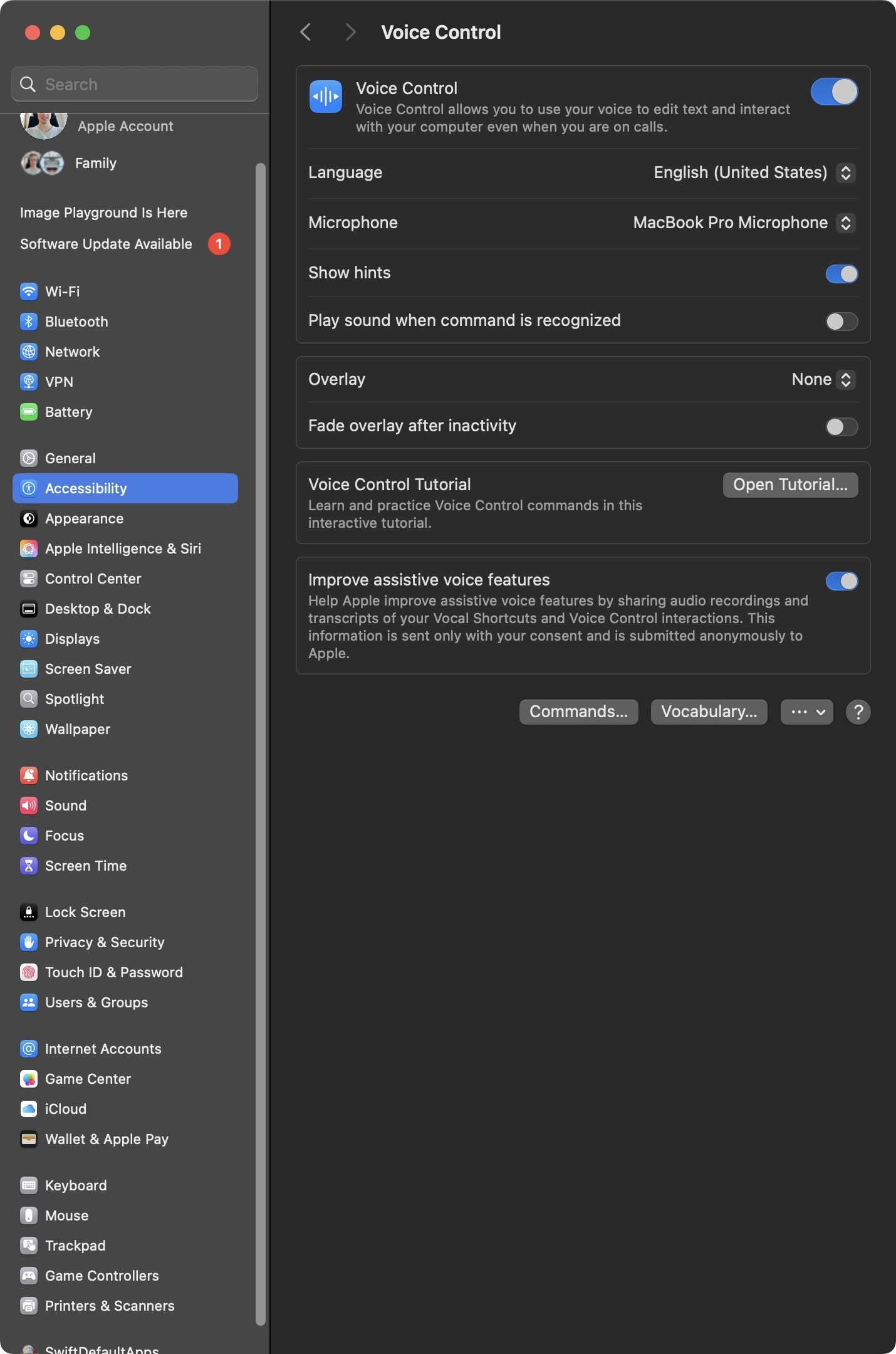 Voice Control can be enabled from accessibility settings