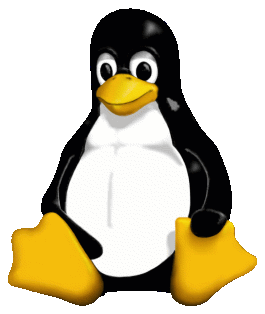 🐧 Linux Won’t Bite: A Windows User’s First Taste of Penguin Power