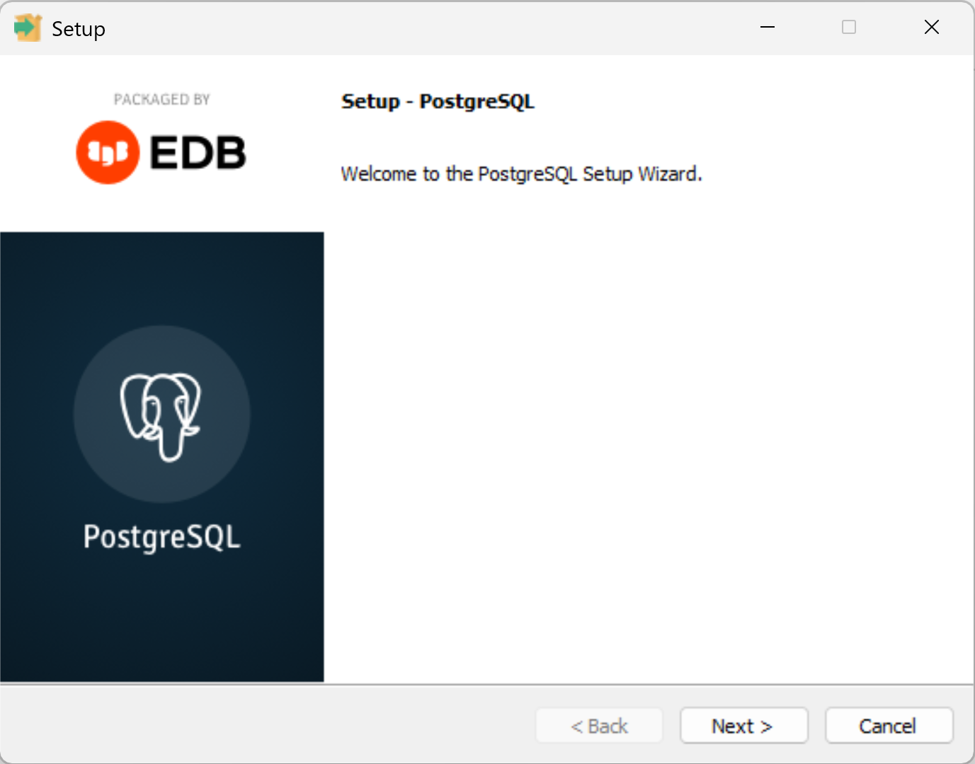 Running the windows installer for postgresql