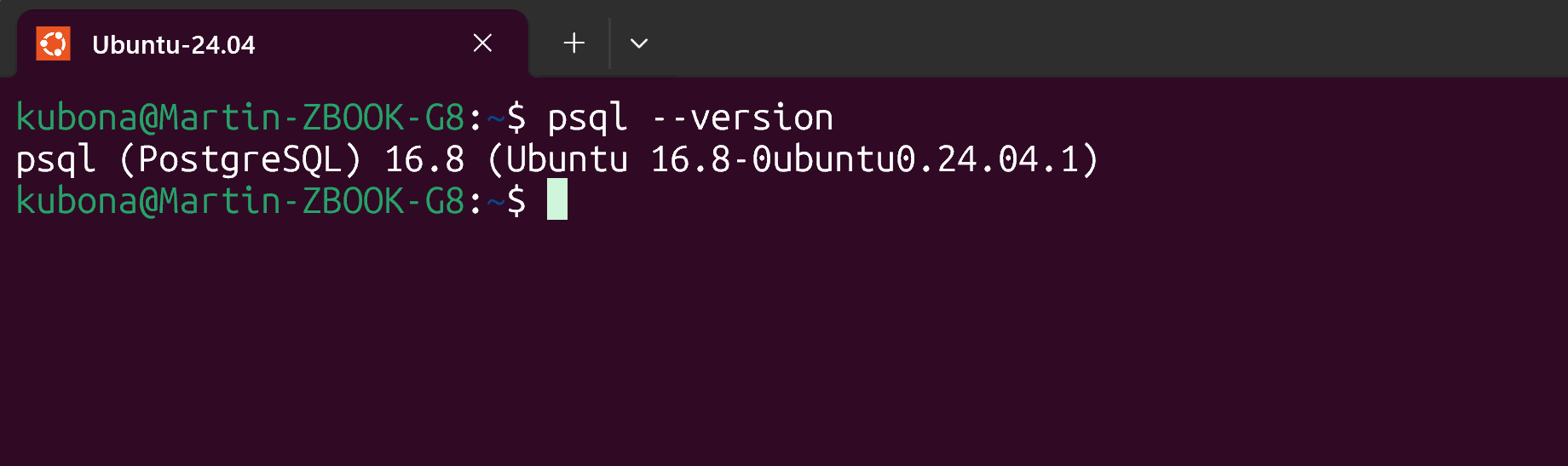 Postgresql successfully installed on Ubuntu wsl2