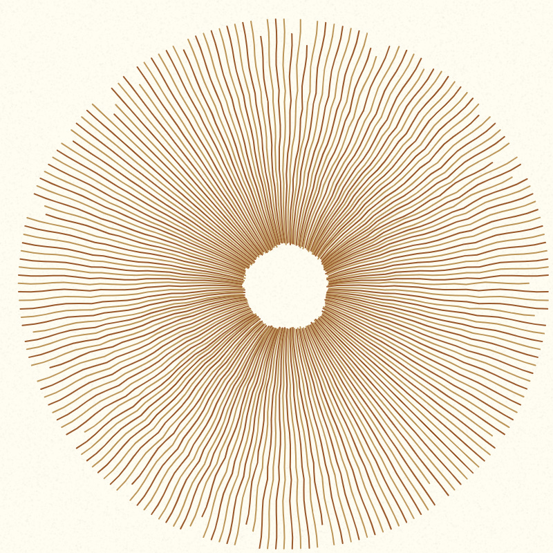 Mushroom Spore