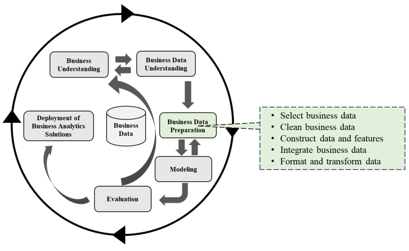 A Fase de Preparação dos Dados do Negócio (Business Data Preparation)