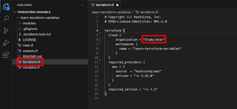 How to use Variables to customize Terraform configuration