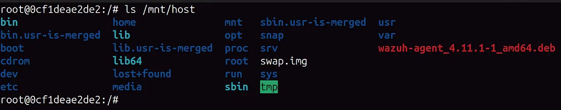 check-contents-of-directory-ls