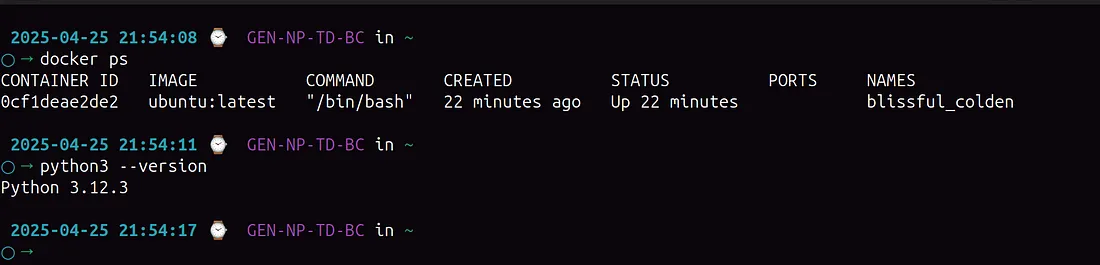 check-python-version