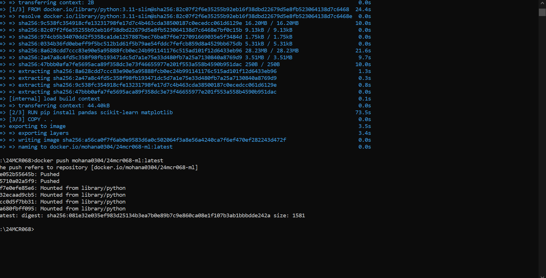 Pushing Image to Docker Hub