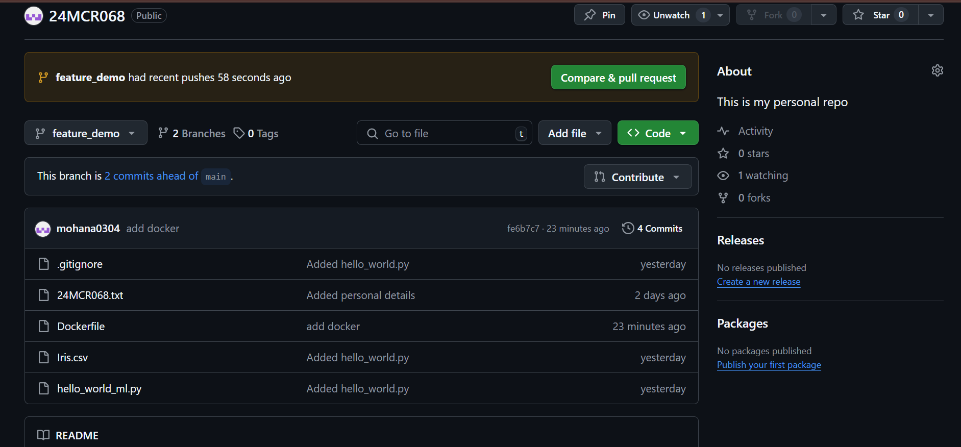 Docker Build Command Example
