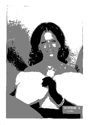 B&W palette