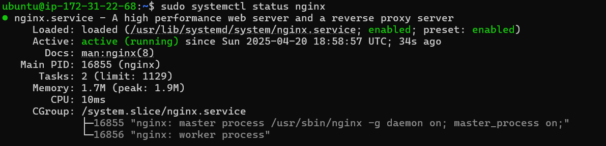 Active nginx