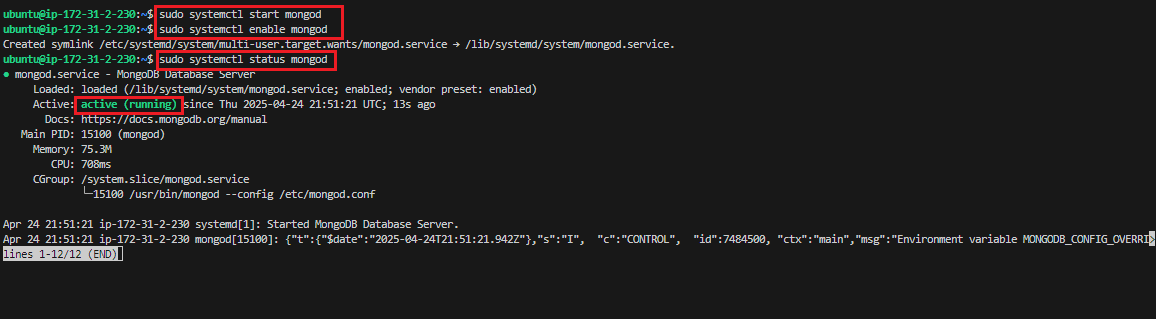 Start Mongodb