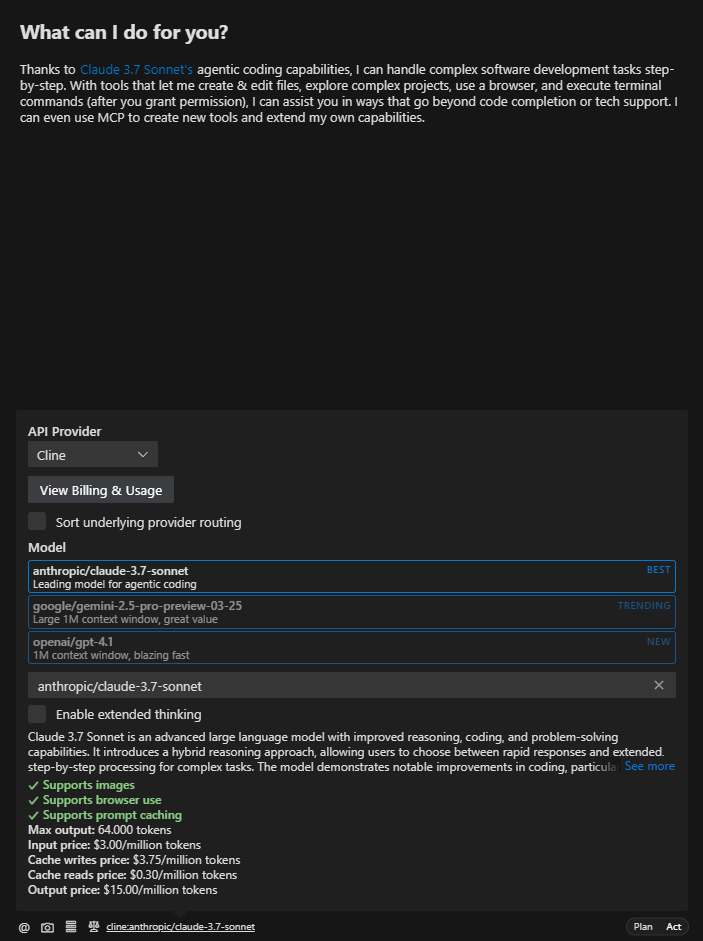 Cline default settings