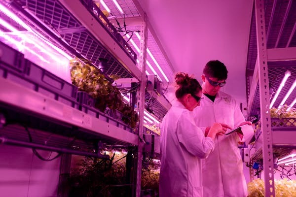Data Science in Agriculture