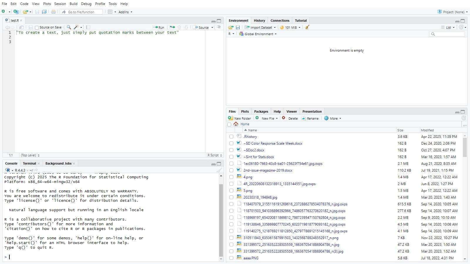 RStudio Interface
