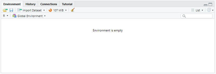 Environment and History