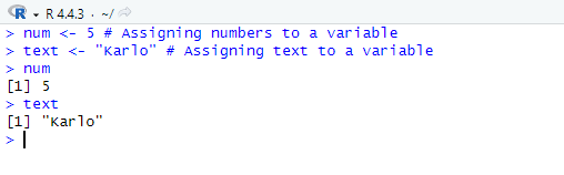 Variable Declaration and Assignment
