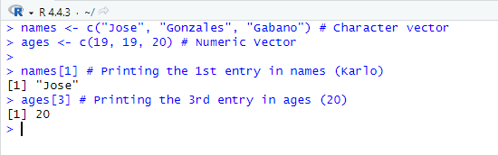 Vectors