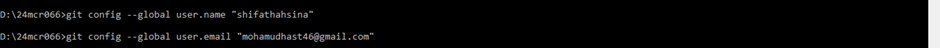 Sets Git username and Git email globally